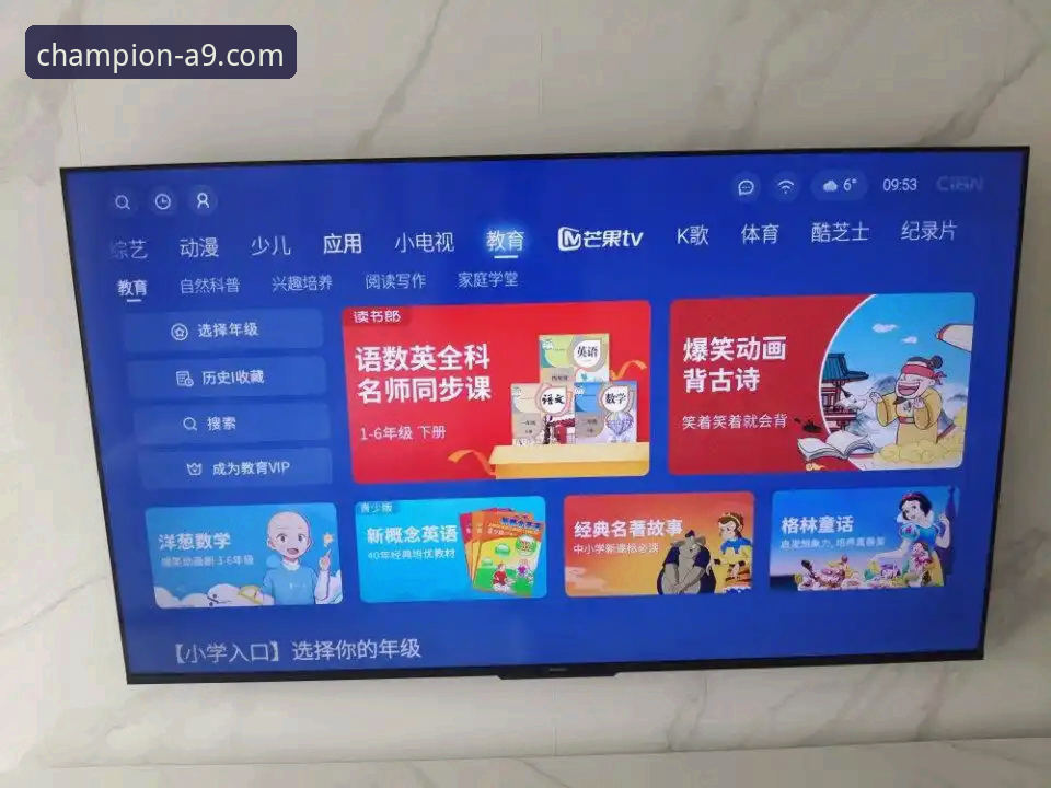体育服务平台推荐 A9体育平台深度评测:2024年体育服务平台推荐与功能全面解析